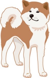 秋田犬のイラスト